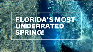 FLORIDA’S MOST UNDERRATED SPRING  Florida Springs  Ichetucknee Springs State Park [upl. by Lenrow734]