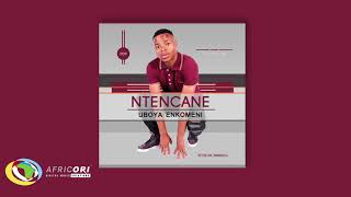 Ntencane  Nhloboni Yothando Official Audio Ntencane [upl. by Bartley32]