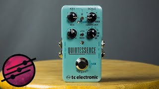 TC Electronic Quintessence Harmonizer Demo Ambient Guitar Gear Review [upl. by Teodora]