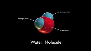 Water Molecules  Arbor Scientific [upl. by Kariotta]