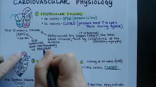 Cardiac Cycle  Cardiovascular Physiology [upl. by Wescott]