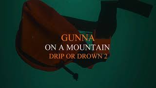 Gunna  On A Mountain Official Audio [upl. by Snapp571]