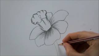 How To Draw a Flower step by step In 6 Minutes [upl. by Heppman331]