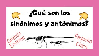 SINÓNIMOS Y ANTÓNIMOS  ¿Qué son [upl. by Ariela]