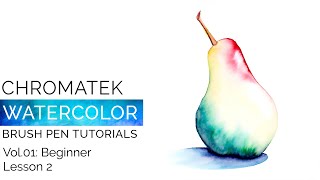 Watercolor Brush Pen Tutorials by Chromatek Beginner Vol01 Lesson 02 [upl. by Franek652]