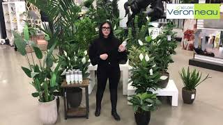 How to clean artificial flowers and plants with Magik Klean [upl. by Ventura]