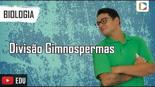 Biologia  Divisão Gimnospermas [upl. by Alyahs]