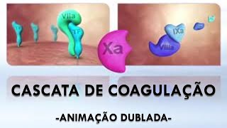 CASCATA DE COAGULAÇÃO  ANIMAÇÃO DUBLADA [upl. by Cloris]