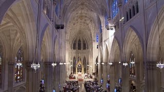 Restoring St Patricks Cathedral [upl. by Lehcar]