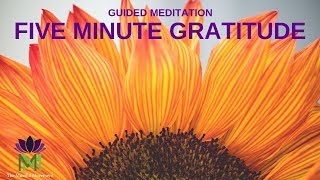 5 Minute Guided Meditation for Gratitude  Mindful Movement [upl. by Sabelle513]