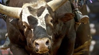 2014 PBR Season Recap World Champion Bushwacker [upl. by Noskcaj938]