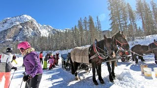 The hidden valley Alta Badia a ski run ending with a horse tow [upl. by Czarra]