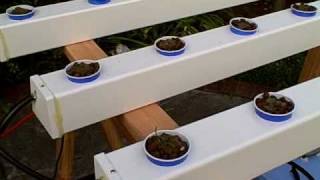 How to Build a Hydroponic Garden [upl. by Gahan]