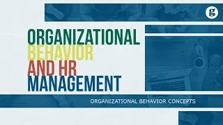 Organizational Behavior and Human Resource Management [upl. by Sewel]