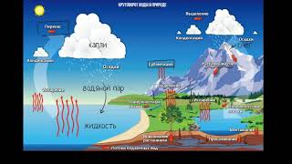 Круговорот воды в природе видео 1 Экология  Биогеохимический цикл [upl. by Shishko879]