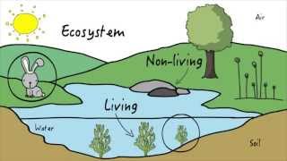 Unit 3 Ecosystems  KLU Science [upl. by Desmond]