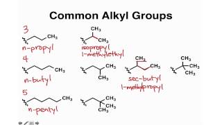 Common Alkyl Groups [upl. by Acie]