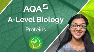 AQA A Level Biology Proteins [upl. by Eerrehs]