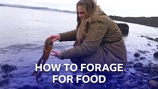 Foraging For Food In Scotland  BBC The Social [upl. by Hulen12]