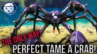 Ark Tutorial The Only Way to Perfect Tame a Crab Karkinos  Aberration  Ark Survival Evolved [upl. by Llacam639]