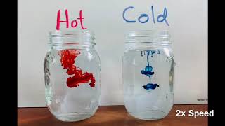 Food Coloring in Hot and Cold Water [upl. by Tawnya875]