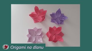 Origami Cvet Lotus [upl. by Andromada]