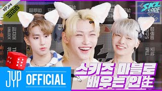 스키즈 마블로 배우는 인生 1｜SKZ CODE Ep04 [upl. by Otreblide]