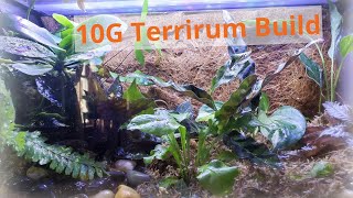 Terrarium DIY  Easy 10 Gallon For Beginners [upl. by Valeda814]