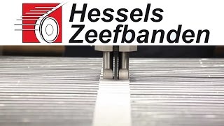 Hessels Zeefbanden NL [upl. by Ahtibbat]