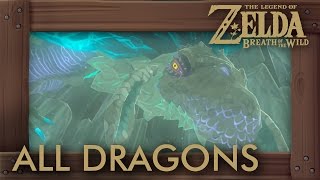 Zelda Breath of the Wild  All Dragon Locations amp Shrine Quests [upl. by Dale]