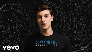 Shawn Mendes  Kid In Love Official Audio [upl. by Cutcheon794]