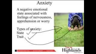 What is arousal anxiety and stress [upl. by Sandry35]