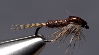 Phat and Phunky Pheasant Tail Nymph [upl. by Irahs]