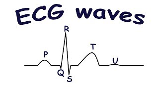 ECG waves [upl. by Asp]