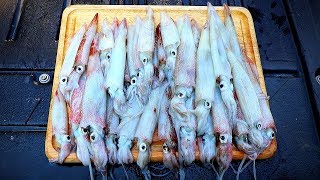 Catch and Cook SQUID JIGGING for Squid [upl. by Naitsyrk]