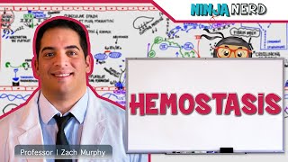 A Novel Hemophilia A Therapy [upl. by Jessie]