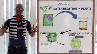 8 Osmosis Biology Form 1 [upl. by Llenreb]