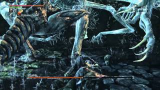 Bloodborne Boss Guide How to beat Amygdala [upl. by Christian]