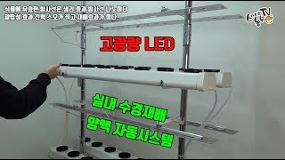 수경재배 만들기 Hydroponics 식물 led 등을 이용한 실내텃밭 상추키우기 양액을 이용한 재배방법 [upl. by Evered755]