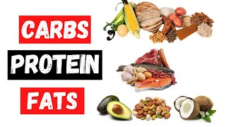 Carbs Protein Fat Explained [upl. by Gabbie]