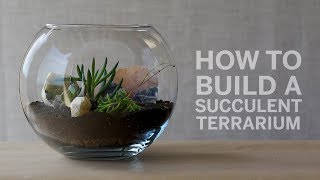 How To Build a Succulent Terrarium [upl. by Dnomaid]