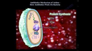 Antibiotics Mechanism Of Action Part 1  Everything You Need To Know  Dr Nabil Ebraheim [upl. by Vladamar]