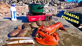 COASTAL FORAGING  Big Lobster  Razor Clams Abalone  Crabs amp Flatfish  Beach COOKING [upl. by Naesyar]