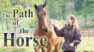 The Path of the Horse  Full Length documentary [upl. by Stilla]