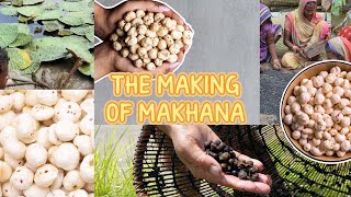 The Making of Makhana  Macmillan Education India [upl. by Anolahs447]