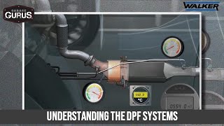 Understanding the DPF Systems [upl. by Cook]