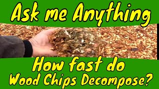 How fast do wood chips decompose [upl. by Hatfield]