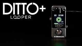 Ditto Looper Comparison and First Impressions [upl. by Adnawaj767]