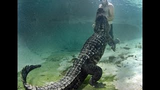 The Best of Rainbow Springs State Park  Swimming With Alligators [upl. by Reginauld129]