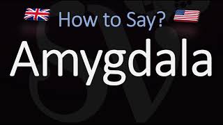 How to Pronounce Amygdala CORRECTLY Meaning amp Pronunciation [upl. by Powe]